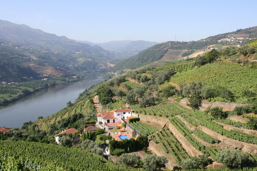 La vallée du Douro et le vignoble de Porto